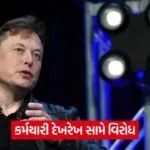 elon musk 2