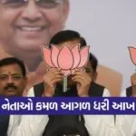 BJP 2009