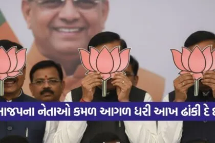 BJP 2009