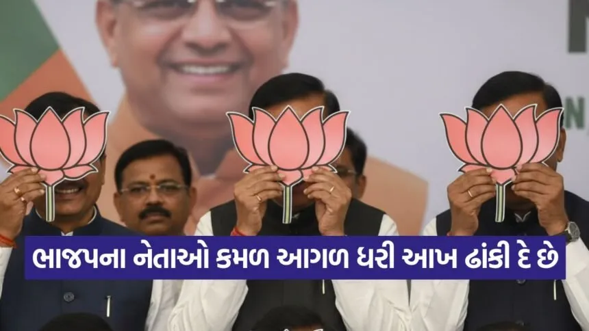 BJP 2009