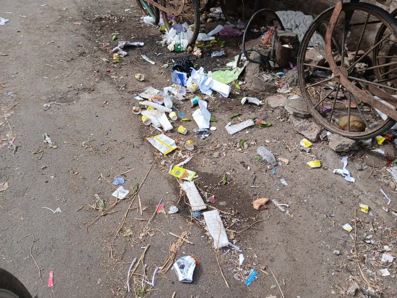 WhatsApp Image 2025 09 20 at 9.51.52 AM.jpeg