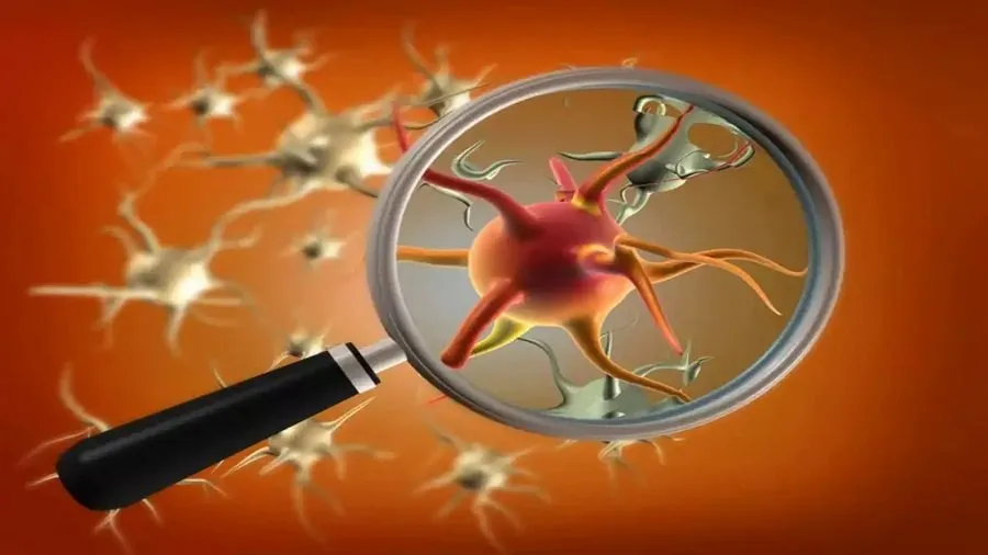 જીવલેણ ફંગલ ચેપનો અંત! ભારતમાં પહેલીવાર વિકસાવવામાં આવ્યું ખાસ મોડેલ 3 fugs 1.jpg