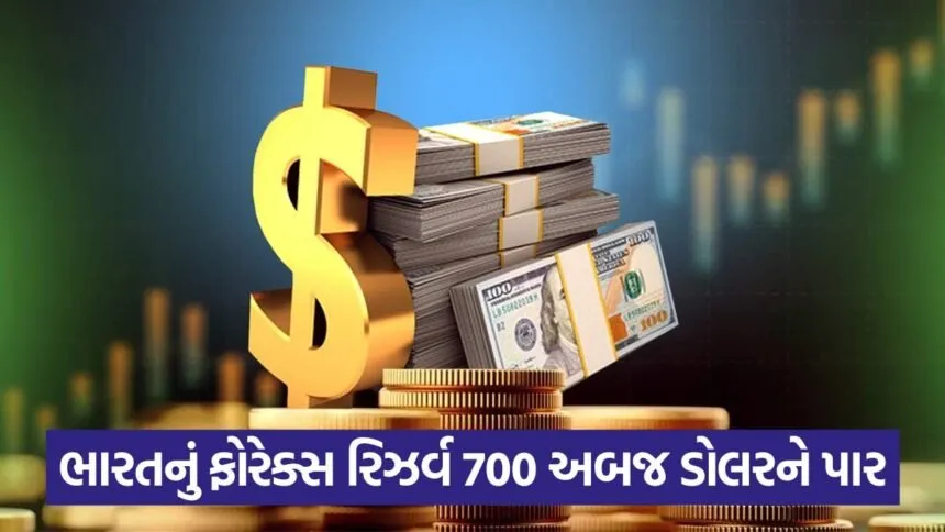 foreign forex reserve