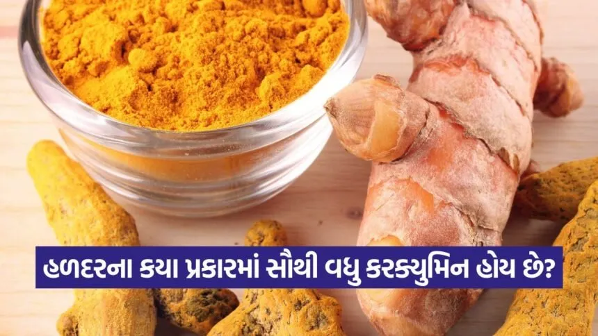 haldi