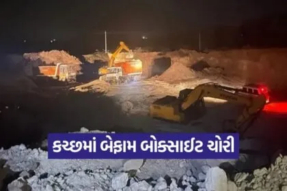 Kutch 2009 3