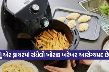 Air fryer 2209