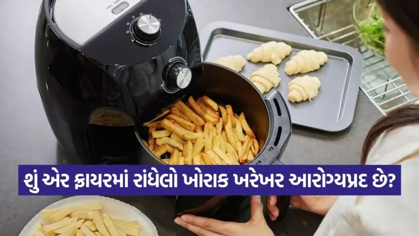 Air fryer 2209