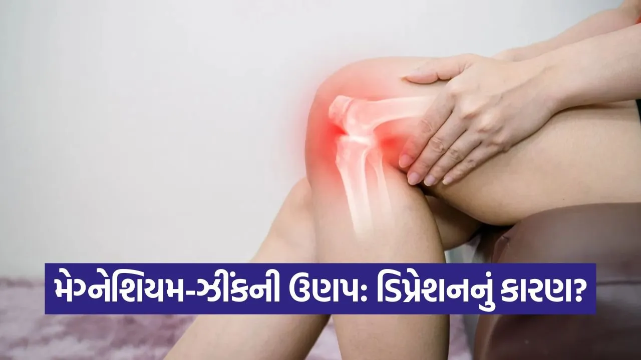 જાણો મેગ્નેશિયમ અને ઝીંકની કમીથી કયા ગંભીર રોગો થાય છે? નિષ્ણાતોની સલાહ 1 rog.jpg