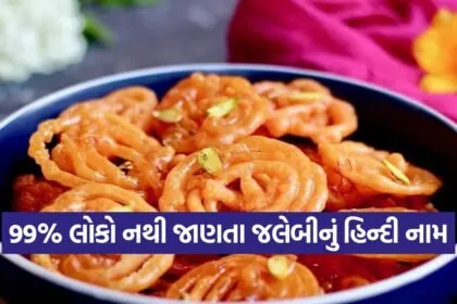 Jalebi 2209