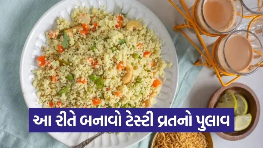 pulav5
