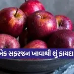 Apple 2209