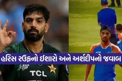 cricket 2209