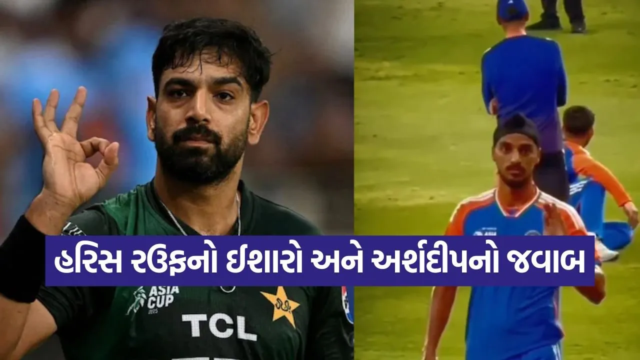 cricket 2209.jpg