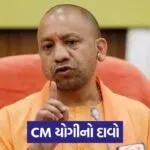 yogi 1