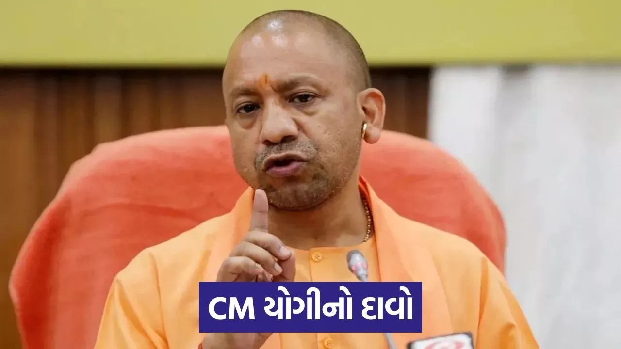 yogi 1.jpg