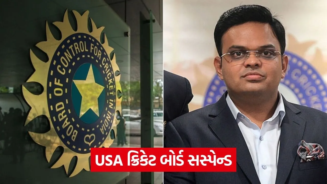 bcci.jpg