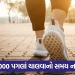 walking india 43