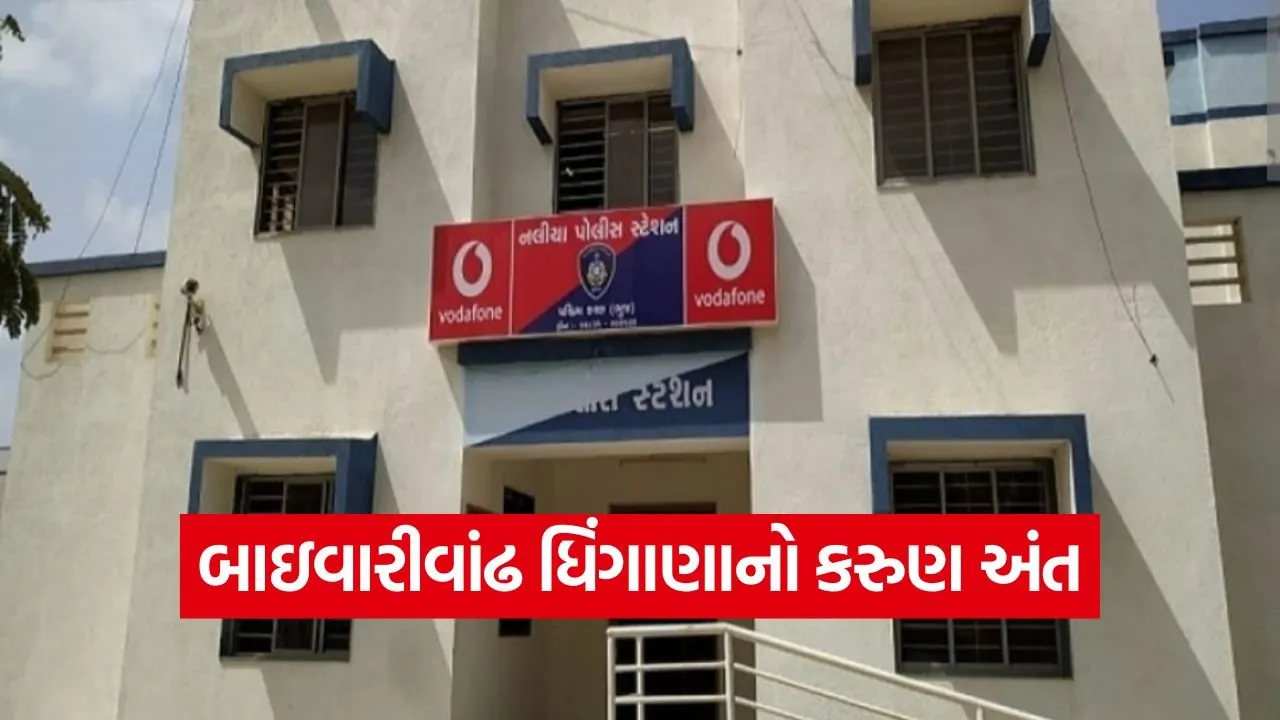 Naliya 2209.jpg