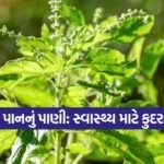tulsi 2309