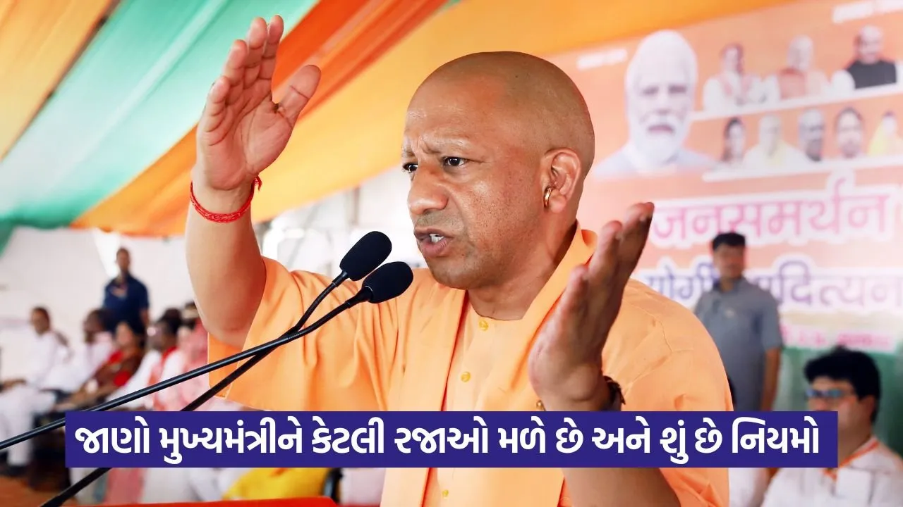 yogi 2.jpg