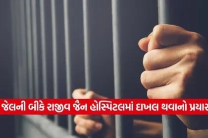 Jail 2309
