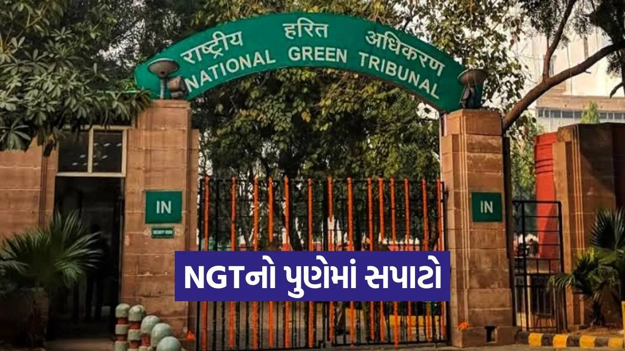 ngt 2309.jpg