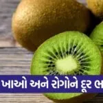 kiwi 2
