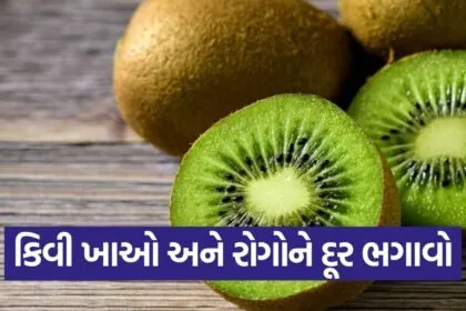 kiwi 2