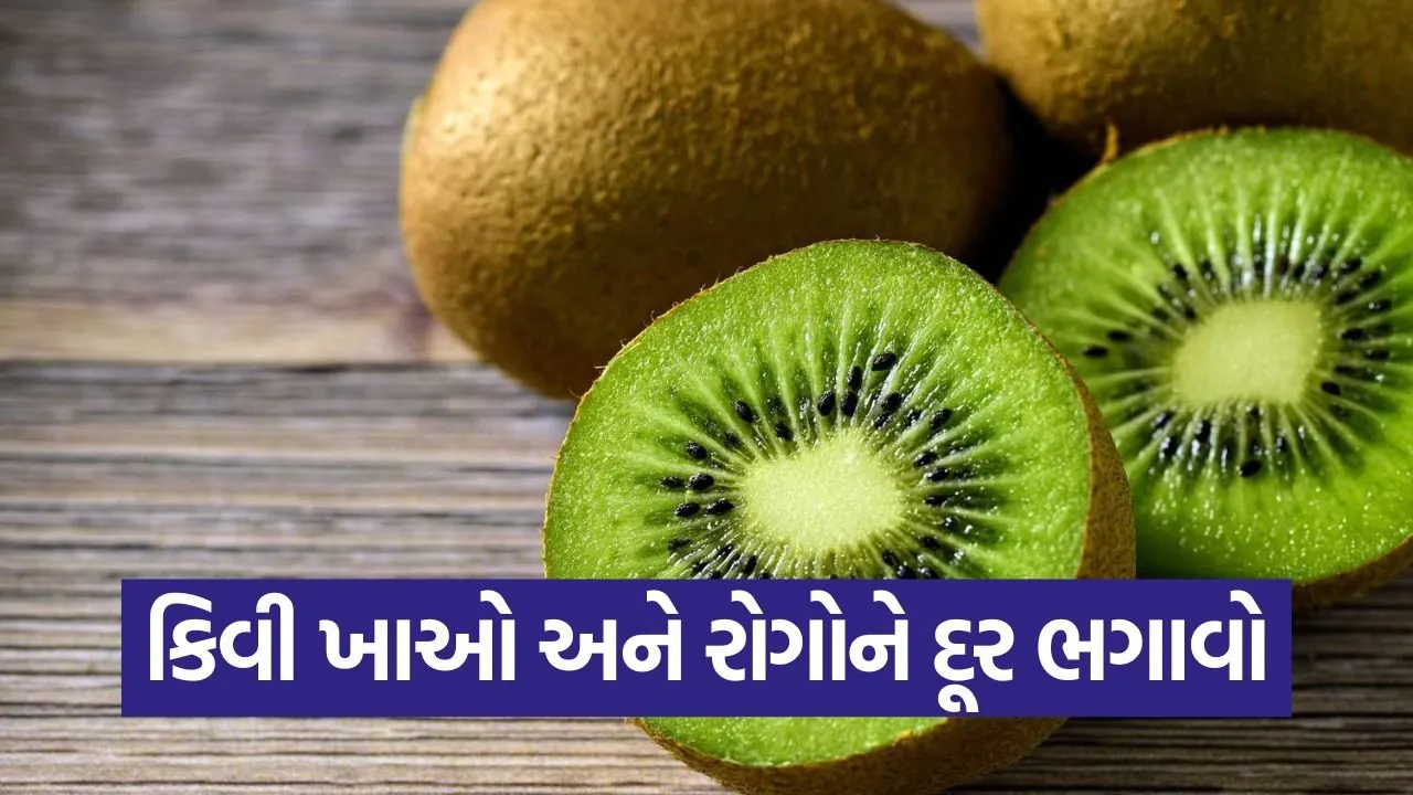 kiwi 2.jpg
