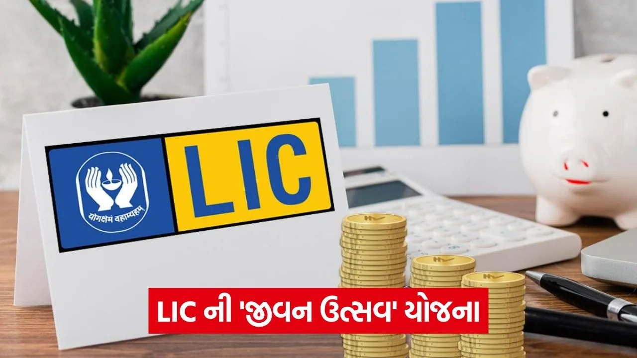 lic 2.jpg