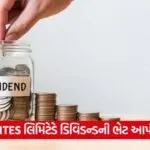 dividend