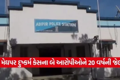 Adipur 2509 1