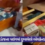 viral 1