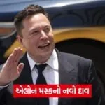 musk 543