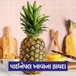 pineapple 43