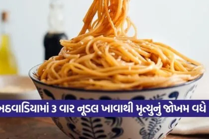noodle 2509