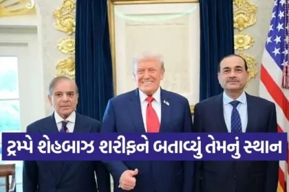 trump 2509