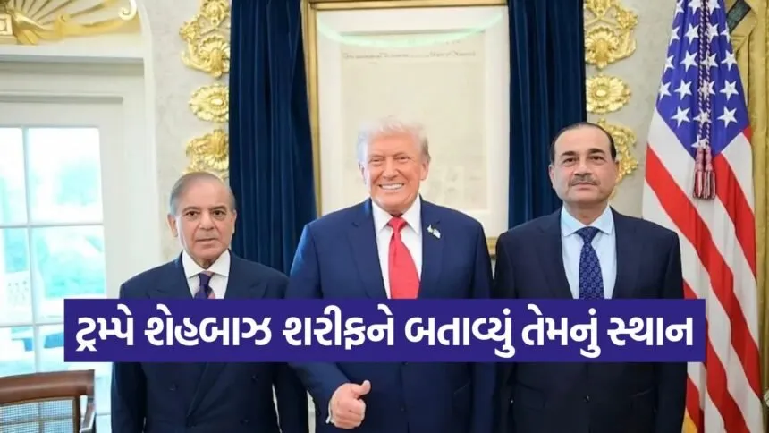 trump 2509