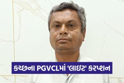 kutch 2509