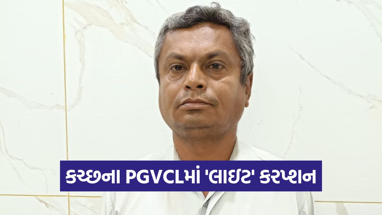 kutch 2509