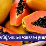 papaya 2509