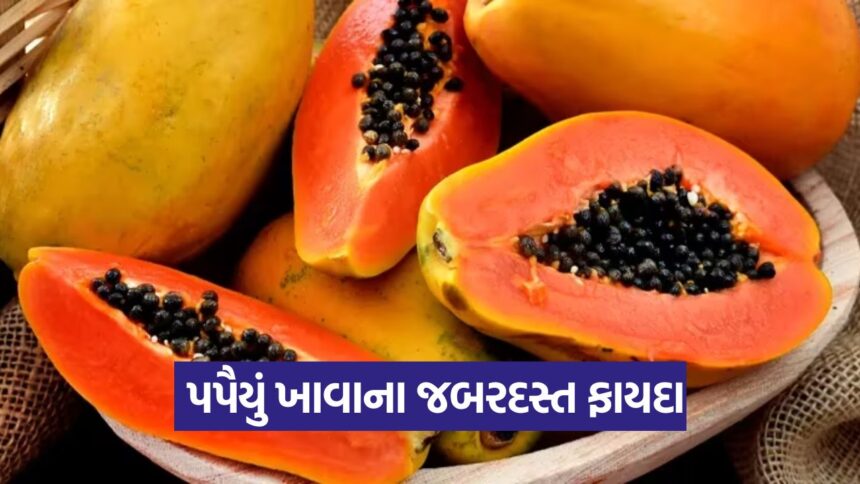 papaya 2509