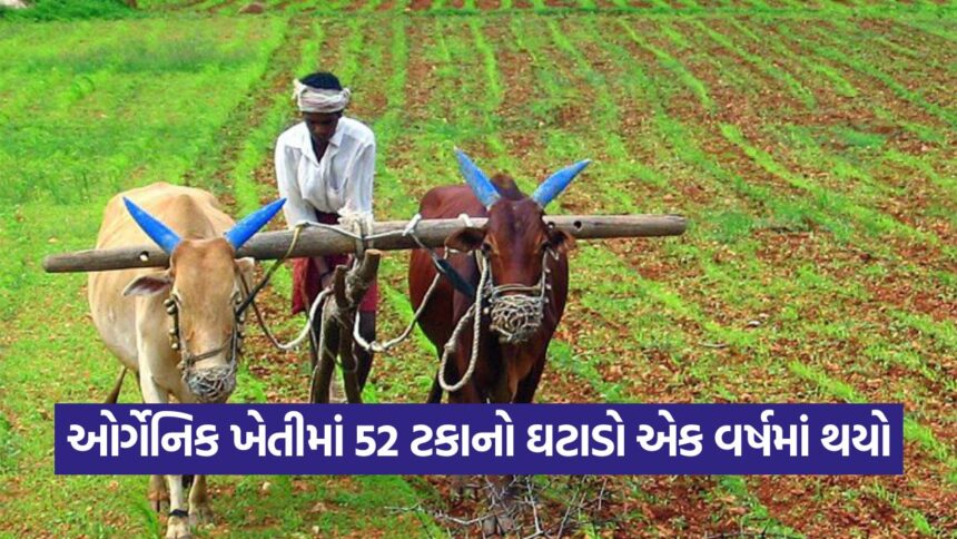farm 2509 1