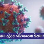 virus 2509