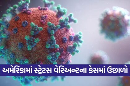 virus 2509