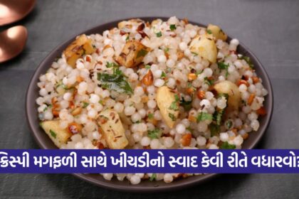 khichdi 2509