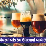 beer 43