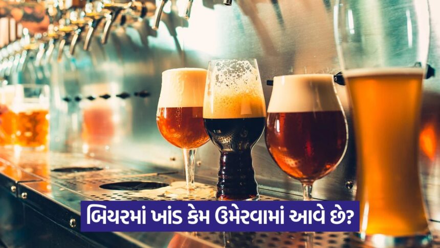 beer 43