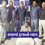 Kutch 2909