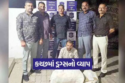 Kutch 2909